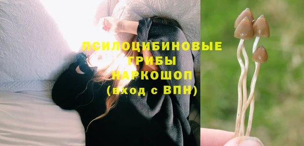 a pvp Бугульма