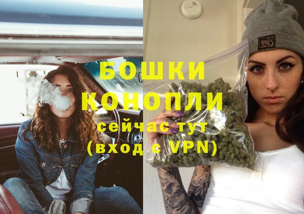 СК Бородино