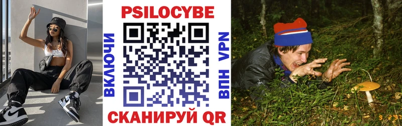 Псилоцибиновые грибы мухоморы  Кингисепп 